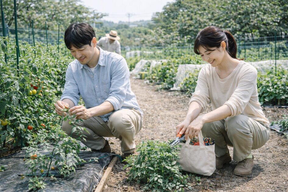 シェア畑久地ってどんな畑？｜続く人の前提を先に整理