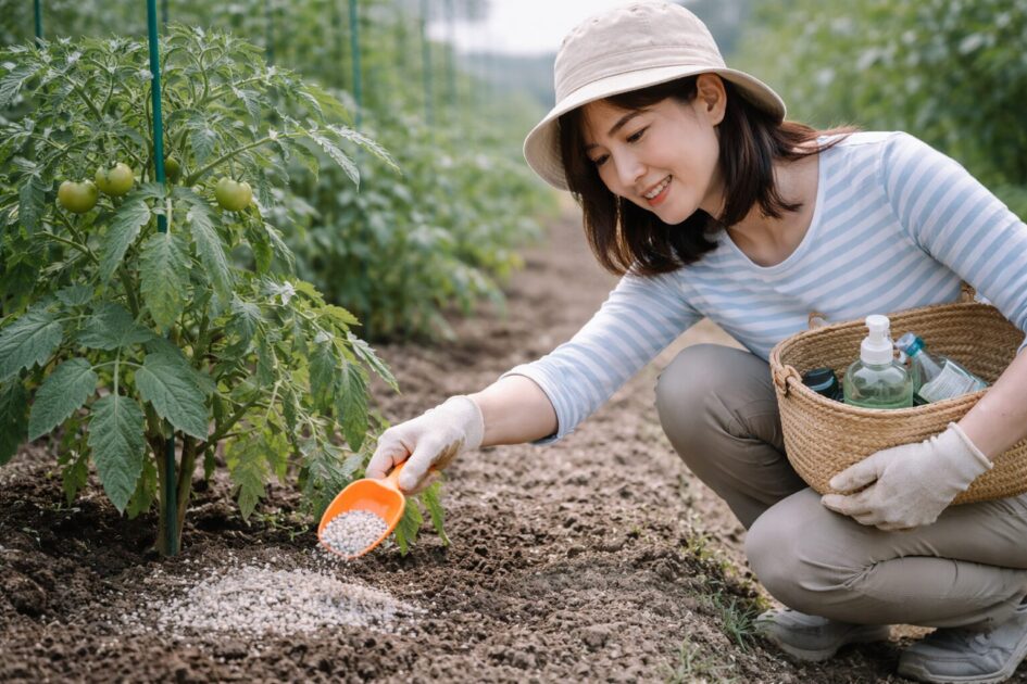 忙しい人でも続く追肥のコツ