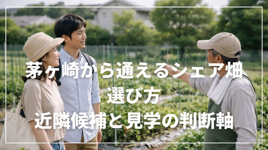 シェア畑 茅ヶ崎はある？湘南エリアで失敗しない選び方
