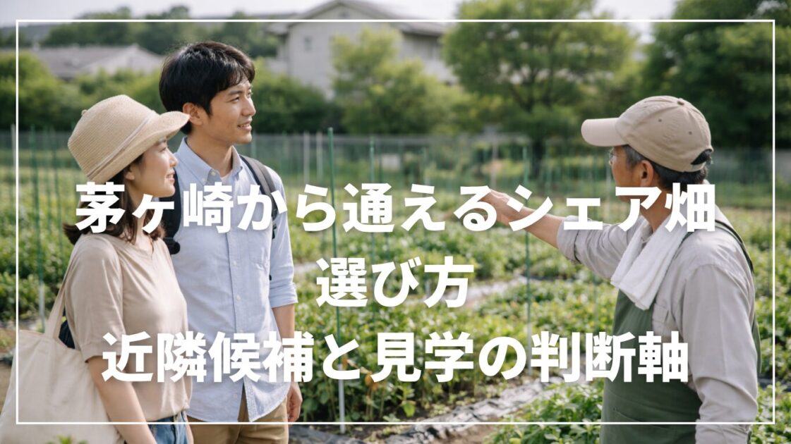 シェア畑 茅ヶ崎はある？湘南エリアで失敗しない選び方