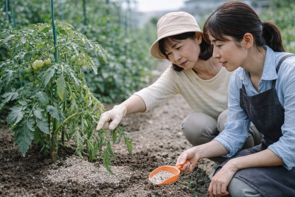 シェア畑の追肥で迷ったときの対処法