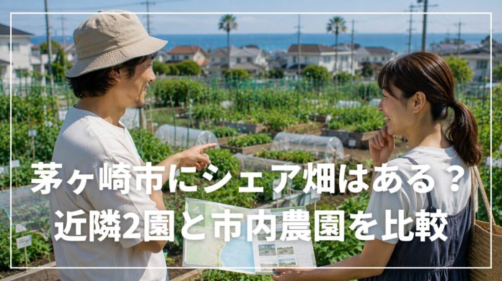 茅ヶ崎市にシェア畑はある？近隣2園と市内農園を比較