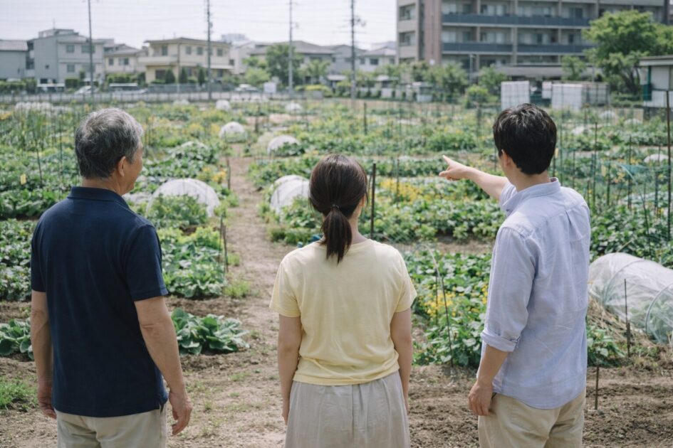 足立区で比較したいシェア畑3候補