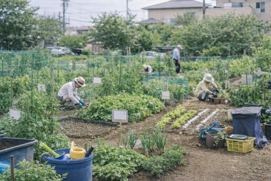 シェア畑蕨イーストファームの写真で見るべきポイント