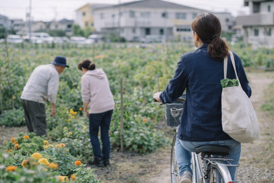 シェア畑越谷は「通いやすさと続けやすさ」で決めると失敗しにくい