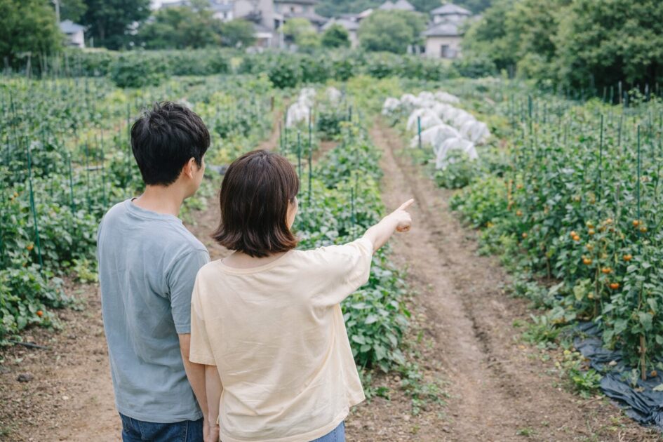 調布でシェア畑を探すなら「3候補比較」から決める