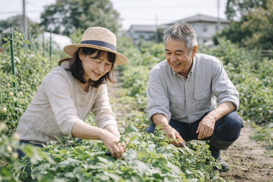群馬で畑を始めるなら「続けられる形」で選ぼう
