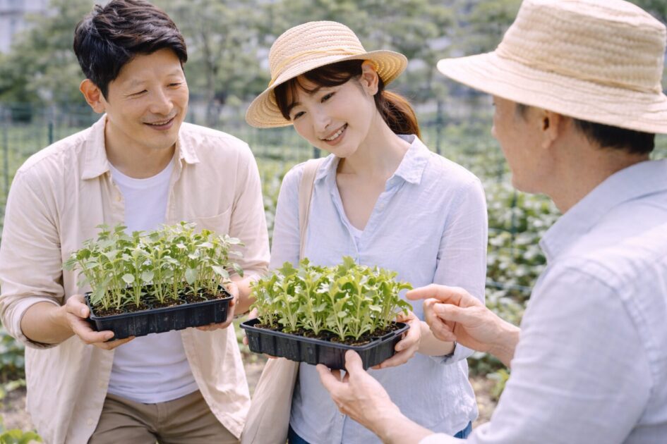 埼玉で選べるレンタル農園の種類と違い