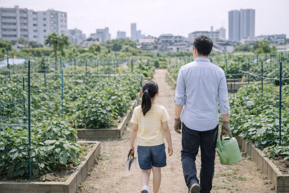 川崎でレンタル農園を探すなら「市内の探し方」を先に整理する