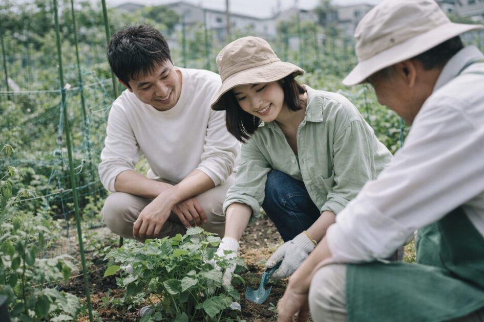 シェア畑 高槻は初心者でも続けやすい？