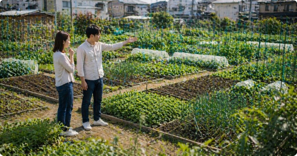 福岡でサポート付き農園を候補に入れると判断しやすい理由