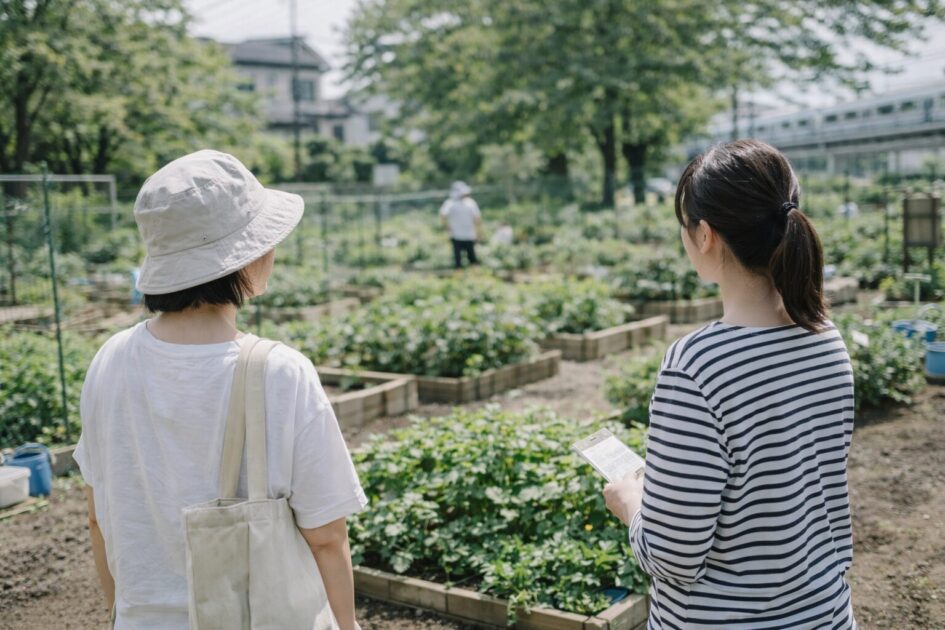 シェア畑 野毛で見学前に確認したいポイント