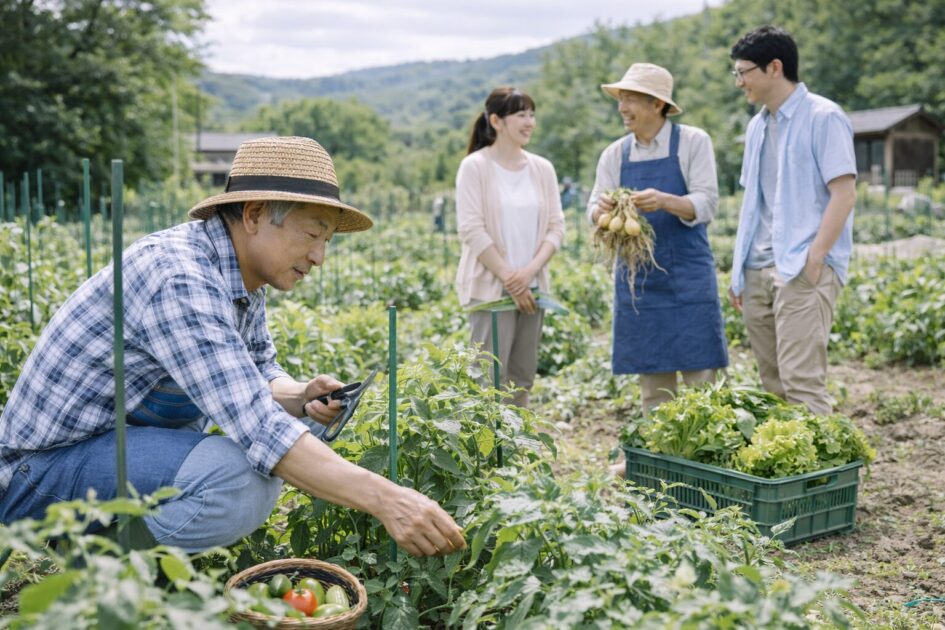 八王子の市民農園と農家開設型農園の違い