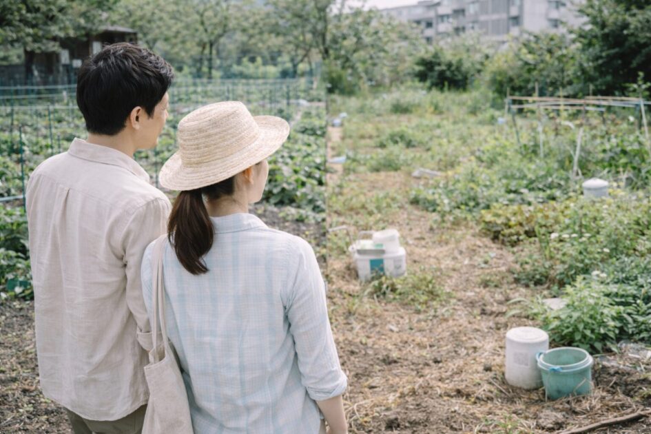 千葉で選べるレンタル農園の種類と違い
