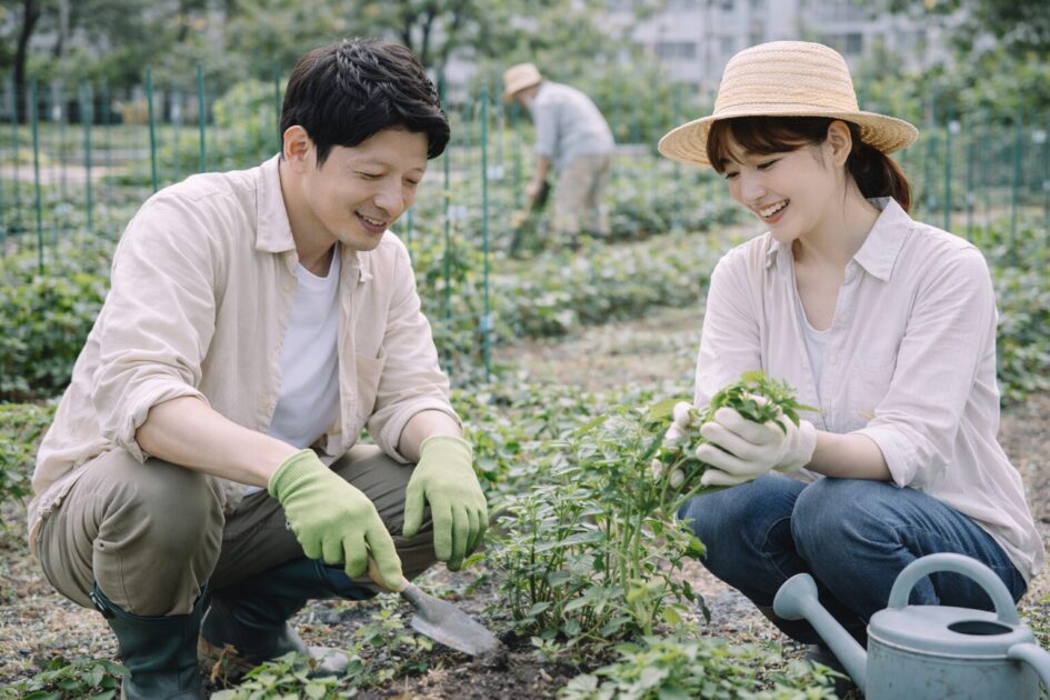 千葉でレンタル農園を選ぶなら「続けやすさ」で決める
