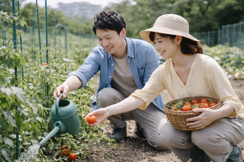 さいたま市でレンタル農園を選ぶなら「続けやすさ」で決める