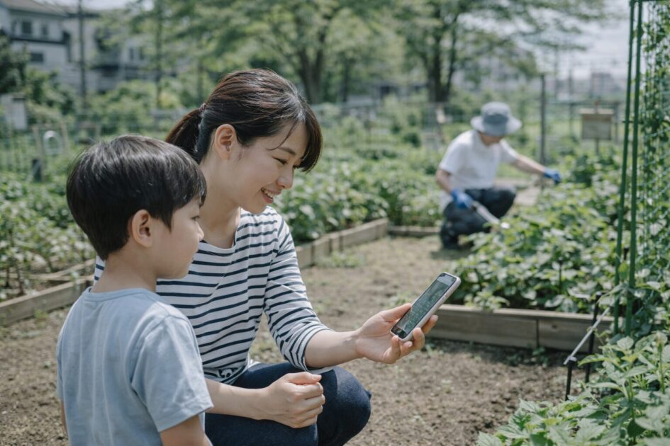 忙しい人向け|シェア畑 野毛を無理なく続ける考え方