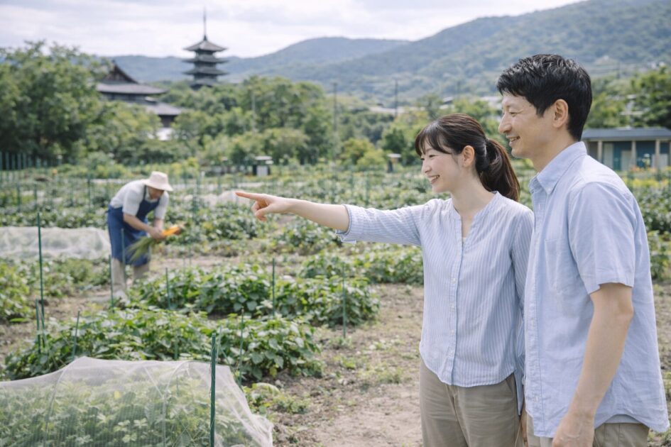 京都で候補に入りやすいレンタル農園の見方