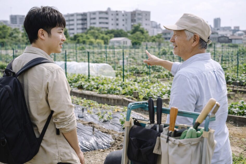 初心者が川崎でレンタル農園を選ぶときの比較ポイント