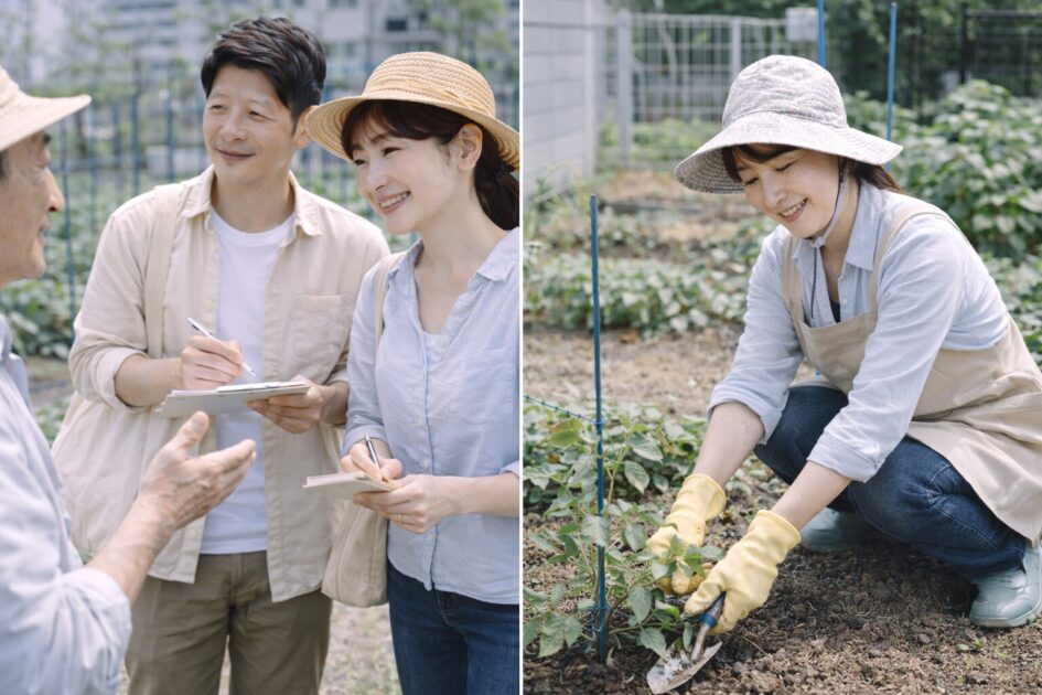 大田区で選べるレンタル農園の種類と違い