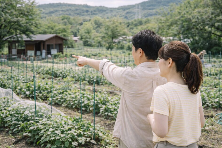 兵庫で候補に入りやすいレンタル農園の見方