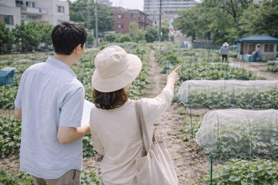 世田谷区で候補に入りやすいレンタル農園の見方