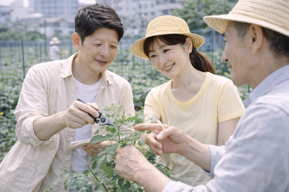 大田区でサポート付き農園を候補に入れると判断しやすい理由