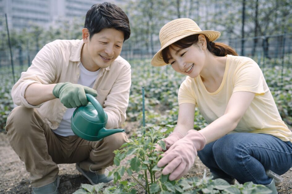 埼玉でレンタル農園を選ぶなら「続けやすさ」で決める