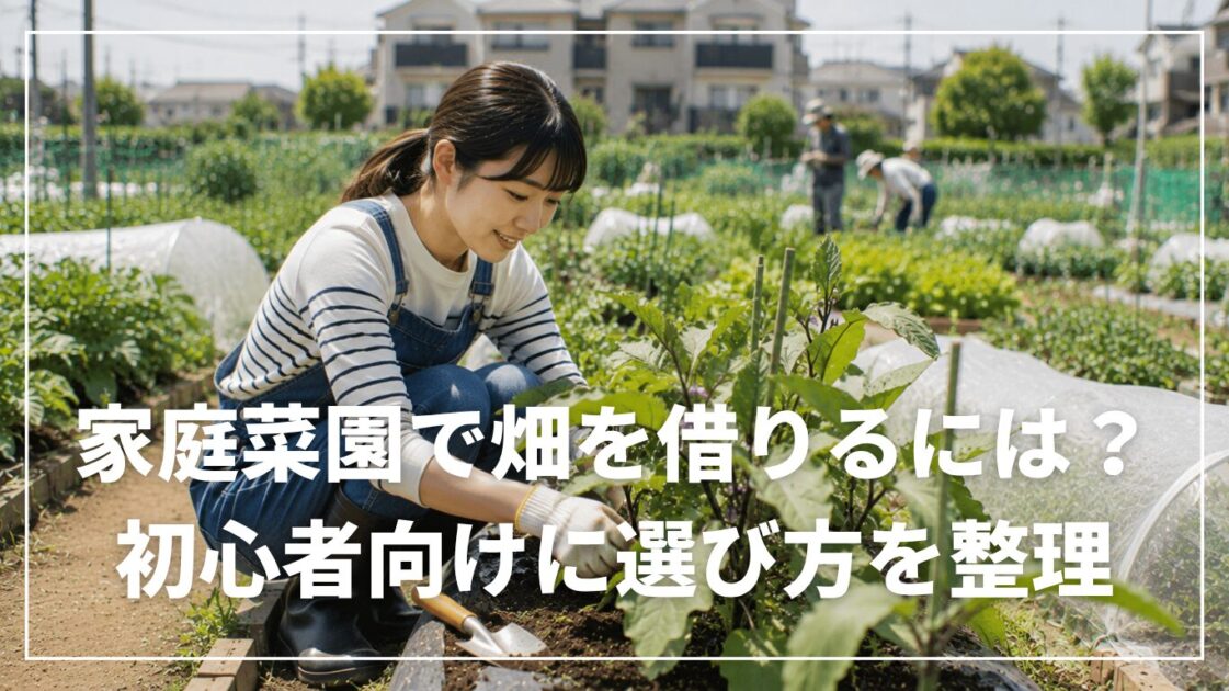 家庭菜園で畑を借りるには？初心者向けに選び方を整理