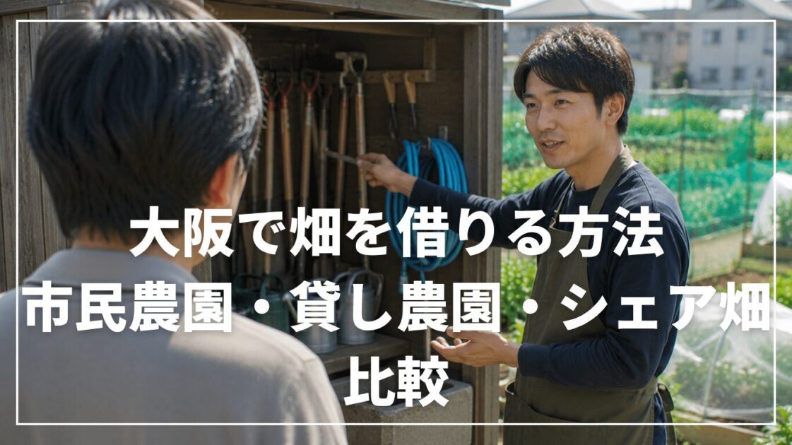 大阪で畑を借りる方法｜市民農園・貸し農園・シェア畑を比較